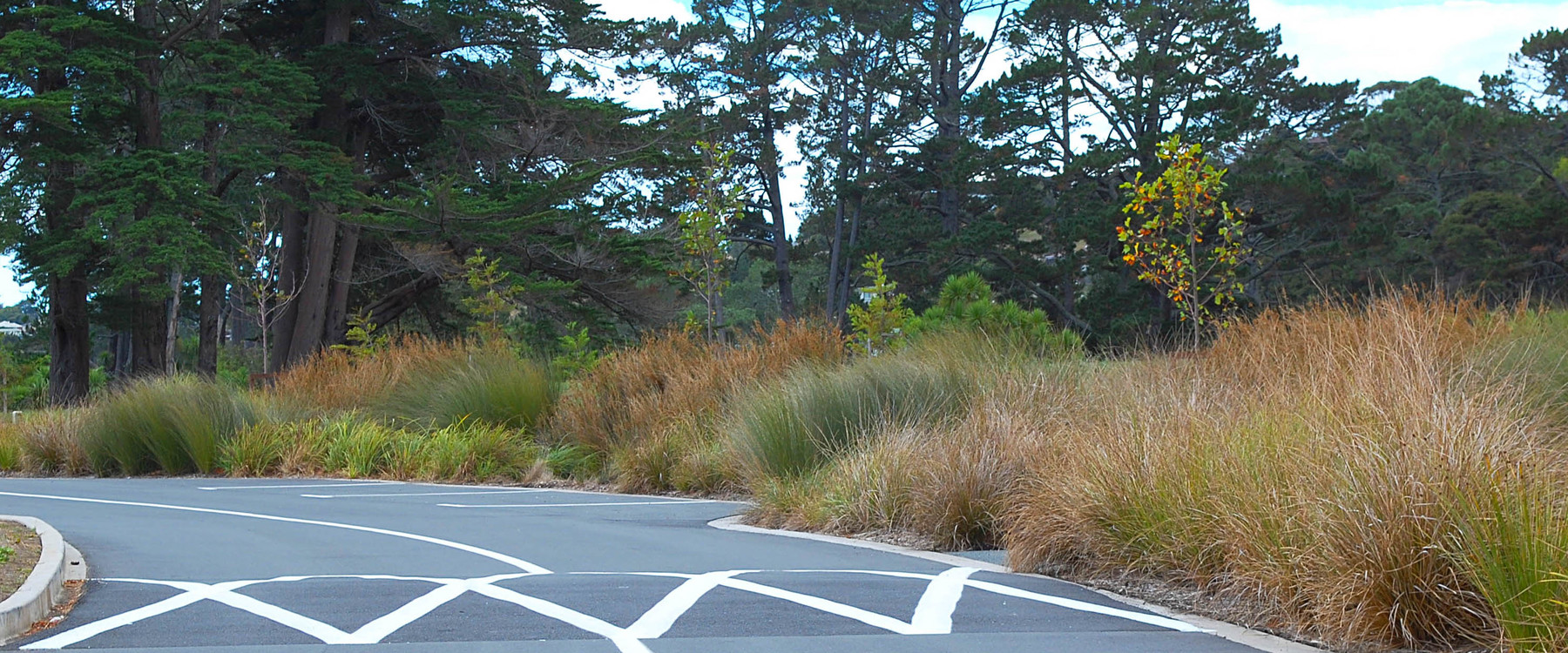 Parrs Park, Auckland